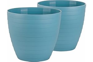 ACTIVOTEX Macetas para Exterior de Plástico 30 cm (2 uds) Maceta plástico Grande para Plantas Macetero Interior Terraza Balcon para Jardinería. Tiestos Jardineras para Flores y Arboles