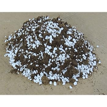 TORBA ACIDA DI Sfagno E Perlite Substrato Piante Carnivore Orchidee