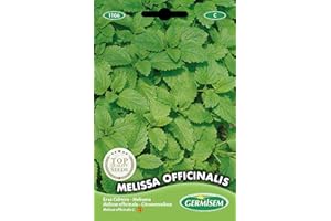 Germisem Zitronenmelisse MELISSA OFFICINALIS