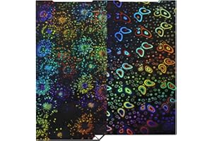 Wefuit 3D Printer Kobra 3 Build Plate for Anycubic Kobra 3/Kobra 3 Combo,Double Sided Fireworks+Butterfly Spring Steel Sheet Plate 256x268mm Flexible Removable Platform Kobra 3 3D Printer Plate.