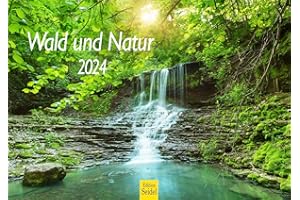Edition Seidel Premium Kalender Wald und Natur 2024 Format DIN A4 Wandkalender Natur Bäume Wälder Wasserfall Wiese Laub Waldsee Farn Moos