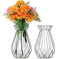 Belle Vous Jarrones Decorativos Modernos Cristal Transparente (Pack de 2) 15 cm - Florero Cristal Cilindro Decorativo - Set p