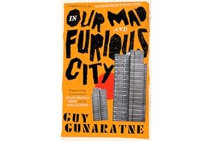 In Our Mad and Furious City: Winner of the International Dylan Thomas Prize