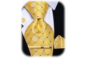 YourTies Silk Ties for Men Plaid Paisley Floral Necktie Pocket Square Cufflinks Tie Clip Set Wedding Party Business Formal