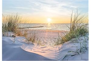 WALLARENA Papel Pintado Playa Sol Paisaje Naturaleza Salón Dormitorio - Incluye Pegamento - Fotomurales Pared Tejido No Tejido Decorativos Murales Fotográfico Moderno Decoración de Paredes (208x146 cm)