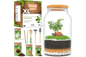 PYEF CRAFTS DIY Kit Terrarium Plante XL avec Verre 4L - Terrarium Verre - Kit DIY a Faire Pousser pour Jardin en Bouteille - (sans Plante)