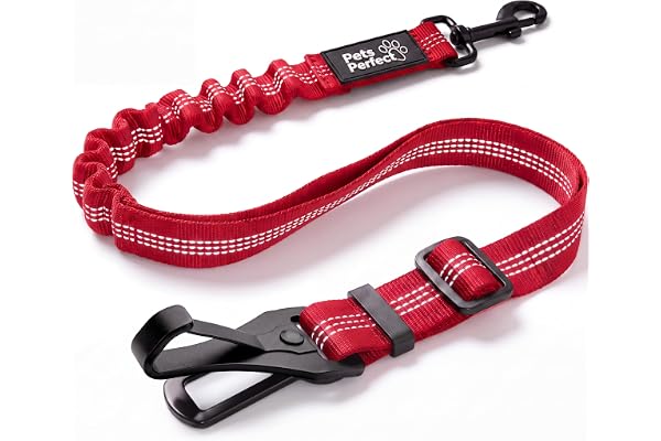 PETS PERFECT Bältesspänne hund bil – justerbart hundbä för bil (58–75 cm) med metalllås och stötdämpare – hundspänne för ISOFIX och bälteslås – säkerhetsbä hund