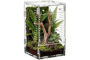 Hoppspindel Terrarium Akryl habitat för hoppspindlar | Spindelbox För Fågelspindlar För Användning I , Sovrummet, Vardagsrumm