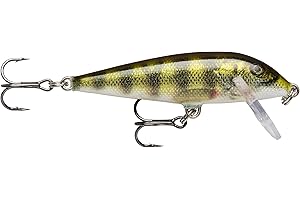 Rapala - X-Rap CountDown un'esca corretta per acqua dolce - trota, salmone, perca, sandre, brochet - 5 cm 4 G colori Ayu