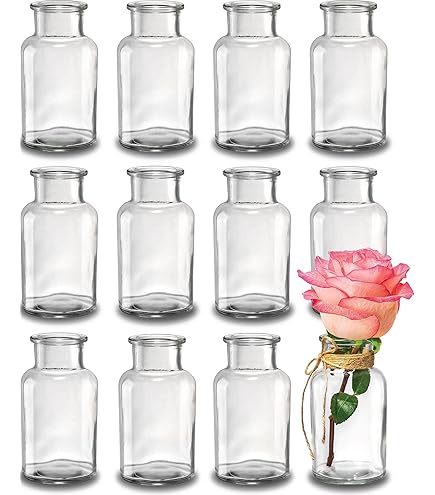 Glasseam Kleine Glazen Vazen Voor Bloemen, Heldere Bloemenvaas Set Van 20, Chique Bud Vases Voor Decoratie, Moderne Mini Vaas Voor Eettafel Decoratie, Decoratieve Vaas Voor Bruiloft Tafelstukken Glasseam Kleine Glazen Vazen Voor Bloemen, Heldere Bloemenvaas Set Van 20, Chique Bud Vases Voor Decoratie, Moderne Mini Vaas Voor Eettafel Decoratie, Decoratieve Vaas Voor Bruiloft Tafelstukken