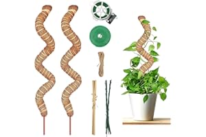 ROTKUSZ 2 Pezzi Palo per Fibra di Cocco per Piante, 120CMcm Bastone di Muschio, Muschio per Piante Rampicanti Bastone