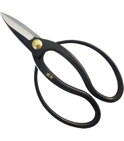 Kit D'outils De Jardinage 15 Pièces Pour Bonsaï - Ciseaux Acier Carbone, Crochet à Racine, Etc.