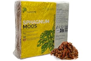 PlantMe Sphagnum Moos aus Chile, gepresst 1000 g (ergibt ca. 50L) – langfaseriges Moos für Zimmerpflanzen, Moosstäbe, Monstera, Philodendron, Alocasia, Orchideen & Karnivoren