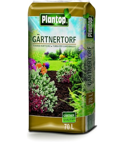 rebstock düngen Rebstockpatenschaft main image 1