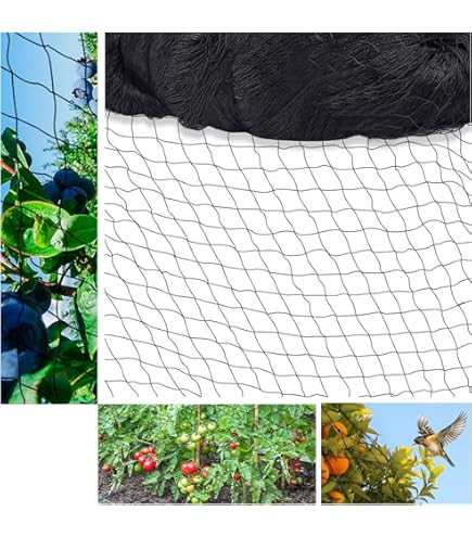 Pluimvee beschermnet, vijvernet, volièrenet, net tegen roofvogels, afdeknet, 10 x 20 meter, zwart