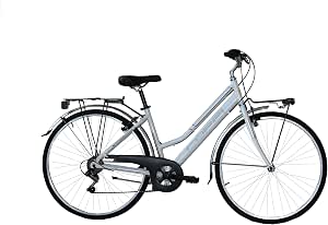 Coppi Londra, Bicicletta da Città Donna, Grigio, M : Amazon.it: Sport e  tempo libero