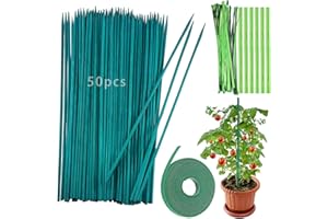 QUNKUN 50 bastoncini per piante, 38 cm, bastoncini di bambù verdi e 50 nastri metallici, con 1 nastro fiorista per la casa, il giardino, la pianta rampicante