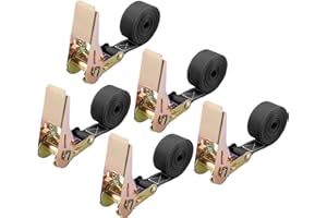 LCXCXY Cinghie di fissaggio a cricchetto, Confezione da 5 cinghie di montaggio, Cinghie a cricchetto - 2M x 25mm, Capacità di carico 900 kg, Cinghia a cricchetto secondo DIN EN 12195-2（nero）