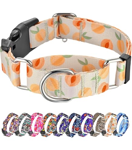 Hondenhalsband voor grote honden, 5 cm brede halsband met handvat voor