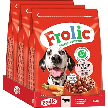 menschliches hundebett Giant Dog Bed fr Menschen  Komfort & Bindung pur