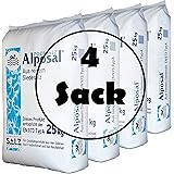 Paradies Pool Alposal Poolsalz 100kg Poolsalz, Schwimmbadsalz, Chlorinator geeignet, Salzelektrolyse, Siedesalz