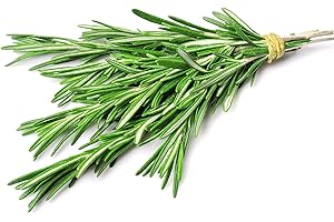 THOMAS RIDLEY Fresh Rosemary - 1x100g