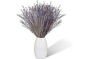 AUFISI Lavendel Getrocknet 100 Stängel, 43 cm Lang Natürlicher Getrockneter Lavendel Trockenblumen deko, Boho Deko