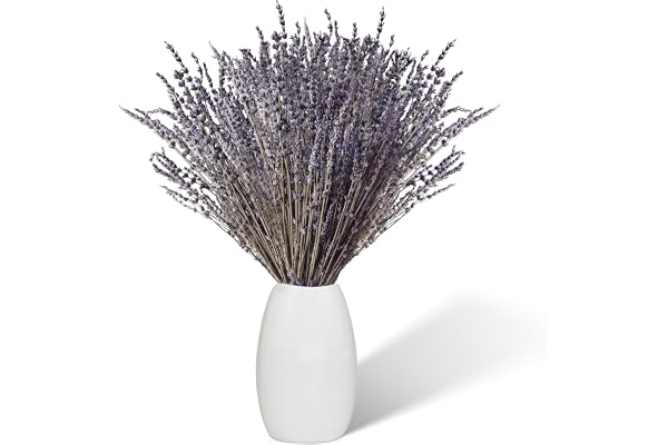 Torkad lavendel 100 stjälkar, 43 cm lång naturlig torkad lavendel Torkad blomdekoration, Boho-dekoration