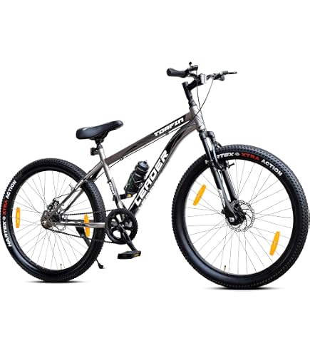 Buy DENVOK Moscow 27.5 Speed 21 (27.5, 17 Shade Grey) Online at
