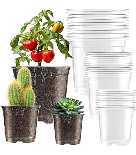 Acan Tradineur - Confezione da 4 vasi rotondi in plastica per piante e fiori mediterranei con fori inferiori. Vaso per fiori per esterni e interni della casa, colore verde, 25 cm