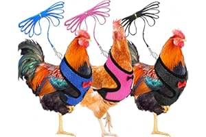 GUANGYU Chicken Harness with Lead, 3 Pieces Chicken Harness, Adjustable, Breathable, for Duck, Goose, Hen, for Running Training, Size M