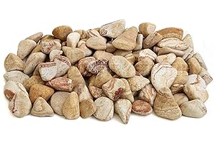 Quarrystore Natural Rainbow Decorative River Pebbles - Approximately 40mm to 60mm in Size - Ideal Outside Decorative Stones for Plant Toppers or Features or for use for Bathroom or Kitchens- 20kg Bag