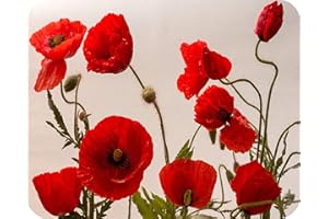 Poppies - Glass Worktop Saver/Protector - by Pearl Glass (Style 3, 50 x 40cm Large)