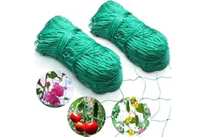 DTnewsun Ranknetz für den Garten, Tomaten, Gurken, 2 m x 5 m, für das perfekte Wachstum von Tomaten, Gurken und Kletterpflanzen. Das optimale Ranknetz für Garten und Gewächshaus – Maschenweite 10 cm