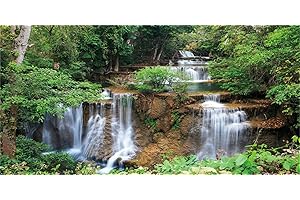 MIRRORANG 76x46cm Fond de Terrarium Cascade forêt Tropicale Fond d'aquarium Plantes Tropicales Arbre Vert Habitat de Reptiles Fond Fond de Vinyle Durable