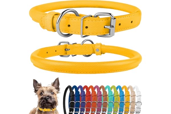 CollarDirect Collier de Chien en Cuir roulé, Collier de Chiot Rond rembourré Doux, Collier en Cuir véritable Fait à la Main pour Chien Petit Grand Collier de Chat (18-20 cm, Jaune texturé)