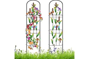 KHAYROVIES 2 Pack Garden Trellis for Climbing Plants Outdoor, Metal Plant Trellis Vine Frame Support for Potted, Decoration Plant Wall Brackets Lattice for Indoor Flowers Vegetable Fruits Rose (Dragonfly)