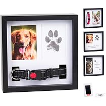 Pet Bowl Pet Memorial Shadow Box - 11x9 Wooden Keepsake Box With Paw ...