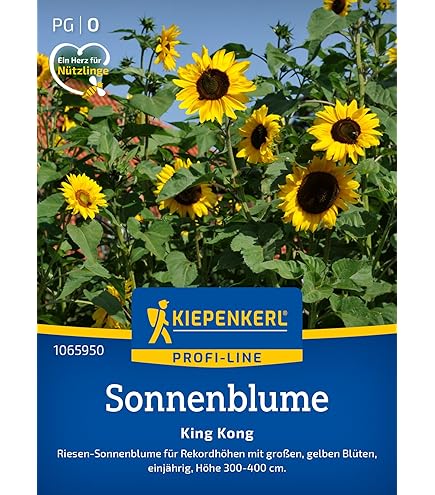Zonnebloem Henri Wilde - Helianthus annuus - Webshop
