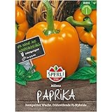 Sperli Premium Paprika Samen Milena ; Frühreifend, Ertragreich, große Früchte ; Paprika Saatgut