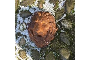 Antikas - Siphon méditerranéen pour fontaine – Bec, gargouille – Tête de lion