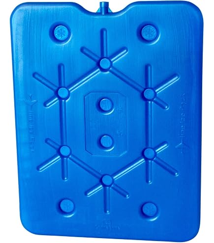 Ice Pack Froid Extra Plat 400ml - Tablette Glace Gain De Place Pour Camping Et Sac Isotherme