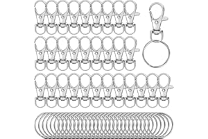Augshy 60 Piezas Llavero Giratorio, Mosqueton Llavero, llaveros Desmontable para Manualidades DIY, Mochila, Bolso, Proyectos de Costura (Plata)