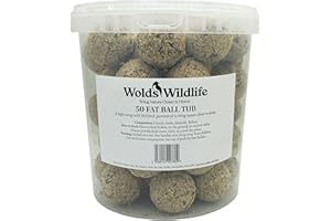 Wolds Wildlife - Premium Suet Fat Balls, 50 x 80g Tub - High-Energy, All-Season Fat Balls for Wild Birds - Enriched with Human-Grade Beef Tallow - High Energy Bird Food with Essential Oils & Protein