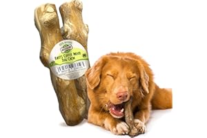 Woodbone Knots Coffee Wood Dog Chew Toy for Medium Dogs - Natural Wood Knots Branch Chewing Stick - Pack of 2 Size M