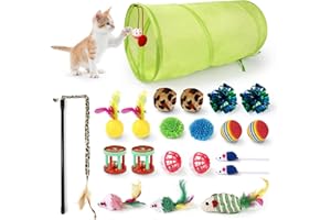 YSQEVN Juguetes para Gatos 21 Piezas Juguete Pluma de Gato Interactivo con Plegable Túnel para Gatos Ratóns y Bolas Varias para Gatito Cachorro Conejito