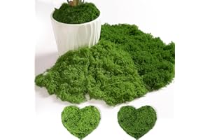 Carreuty Sztuczny mech do dekoracji, 200 g, sztuczny mech do majsterkowania, do majsterkowania, ciemnozielony, mech lslandzki, 100 g, jasnozielony 100 g i jasnozielony 100 g