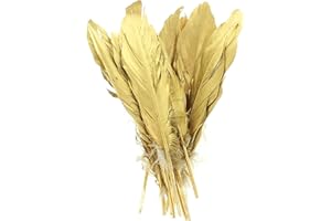 MIJOMA Set di piume vere, piume decorative, decorazioni per matrimoni, Natale, artigianato, maschere, costumi di Halloween e carnevale