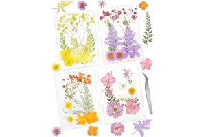 Cinvo 40 piezas de flores y hojas prensadas secas reales, pétalos secos naturales con pinzas para velas, joyas, jabón, uñas, colgante, funda de teléfono, manualidades, decoración floral, adornos de