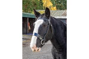 Aces Equine HUNTER BRIDLE BLACK WITH 2" NOSEBAND & 1" PLATED BROWBAND PREMIUM QUALITY (X-FULL)